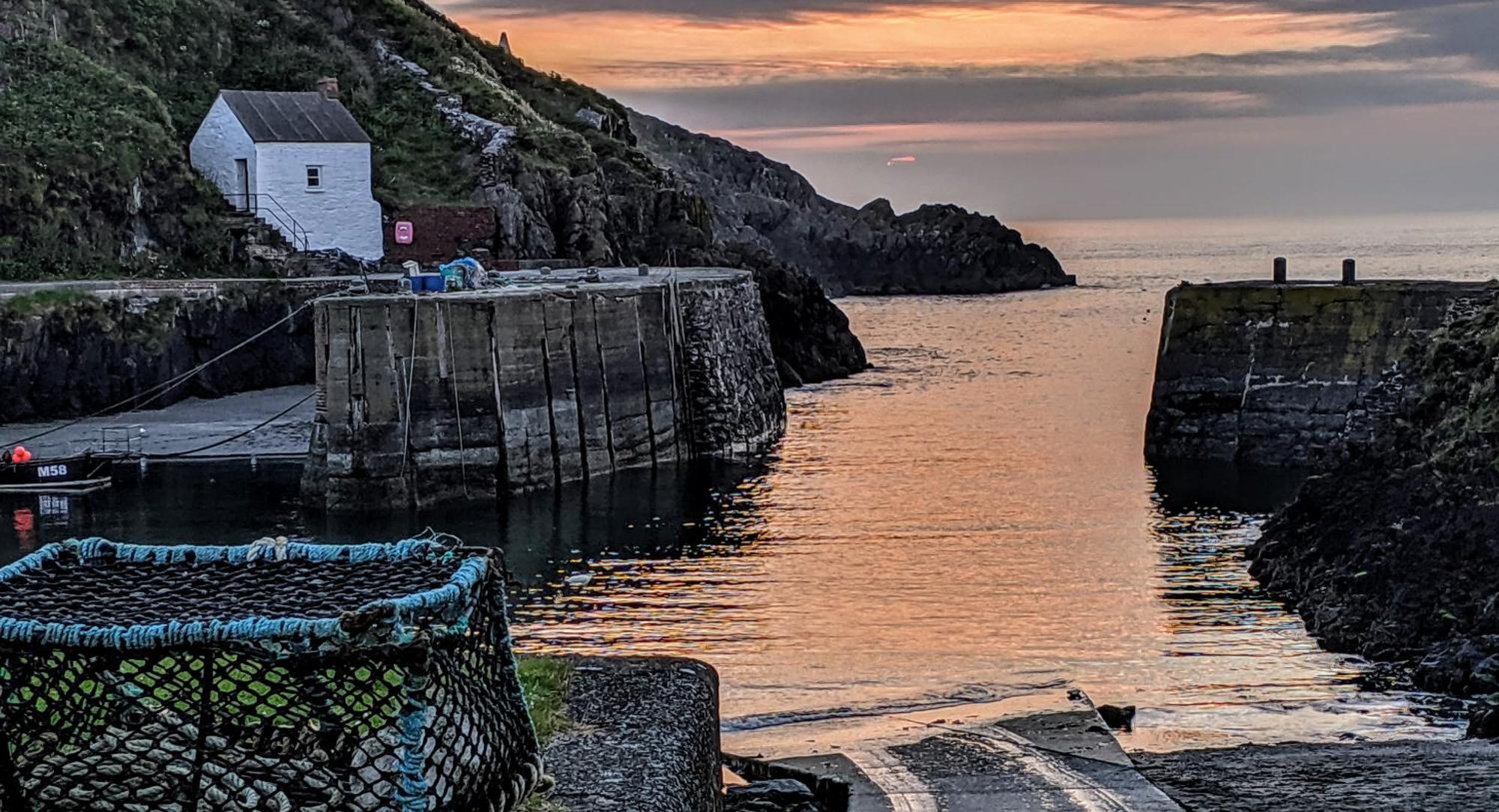 Ivybridge Guesthouse Fishguard Εξωτερικό φωτογραφία