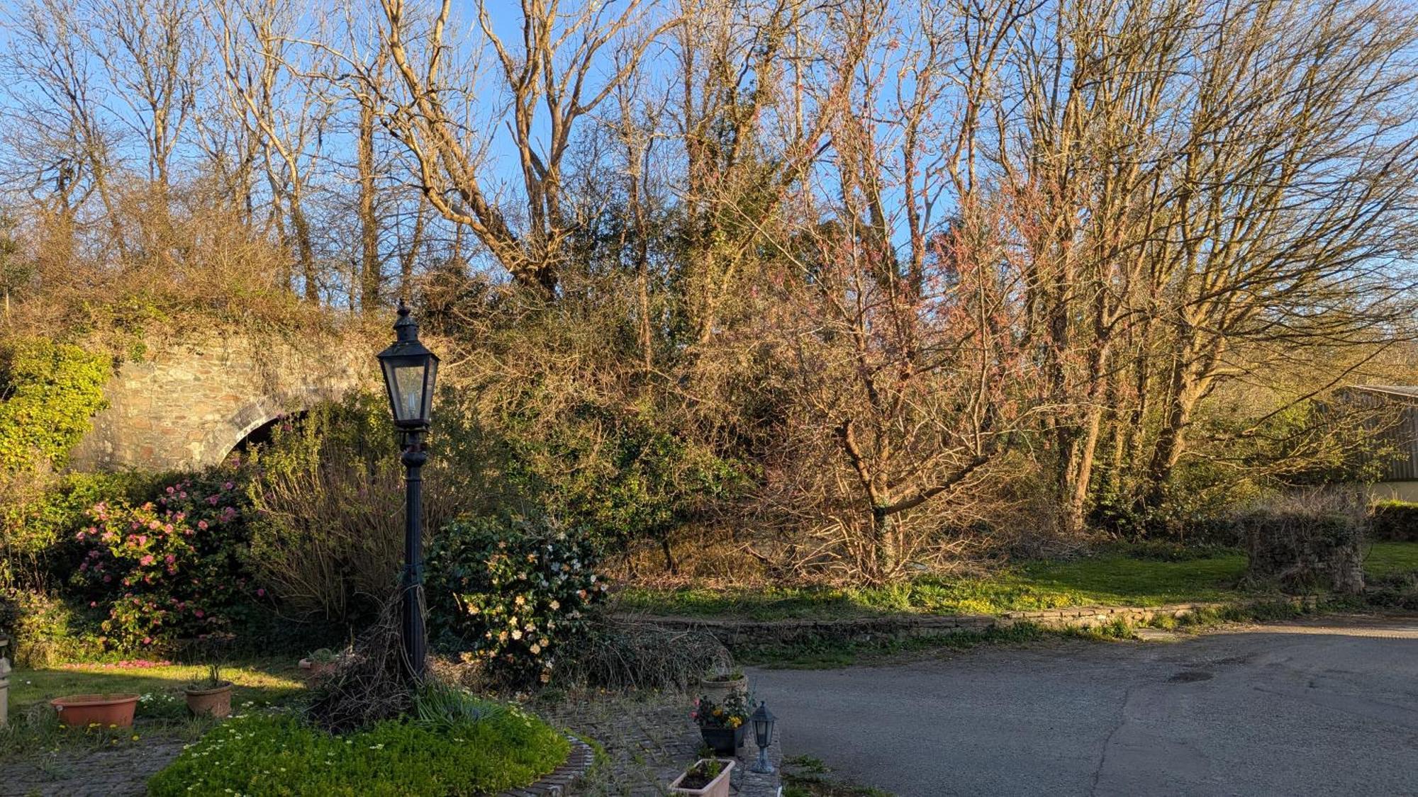 Ivybridge Guesthouse Fishguard Εξωτερικό φωτογραφία