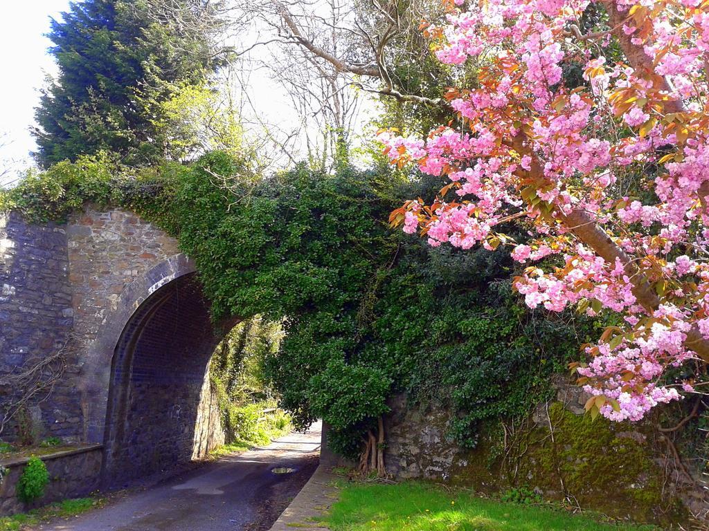 Ivybridge Guesthouse Fishguard Εξωτερικό φωτογραφία