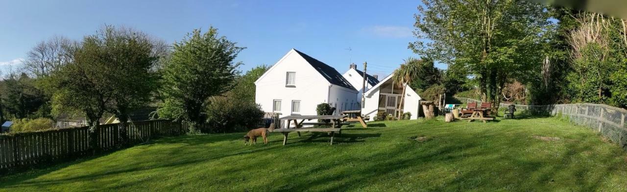 Ivybridge Guesthouse Fishguard Εξωτερικό φωτογραφία